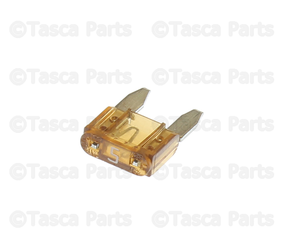 1995-2020 GM 5 Amp Automotive Mini Fuse 12092081 | TascaParts.com