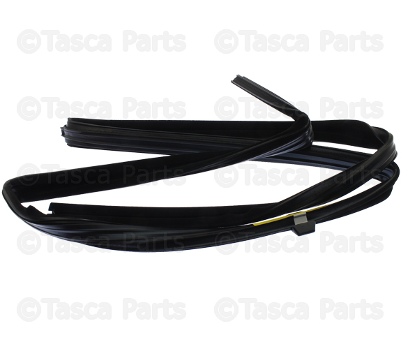 Glass Channel Lt - Driver's Side (LH)