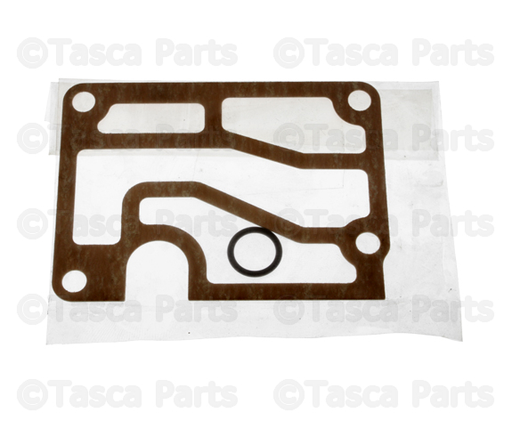 Fuel Injection Idle Air Control Valve Gasket
