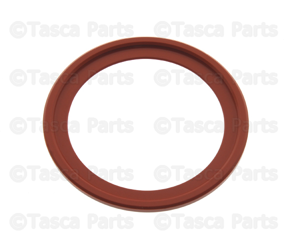 Engine Oil Cooler Gasket