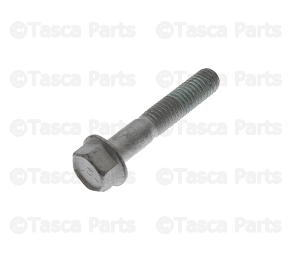19942004 GM Exhaust Manifold Bolt 12552096