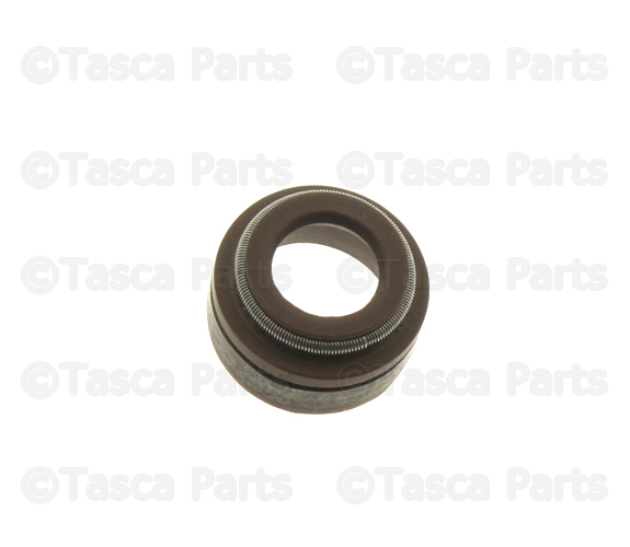Intake Valve Seals