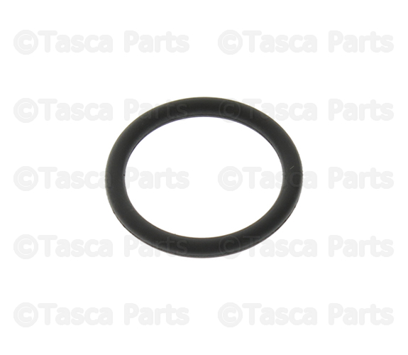 20092011 Chevrolet Aveo5 Thermostat Housing Seal 55555984