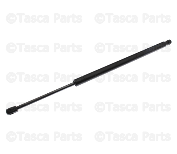 Support Cylinder - Passenger Side (RH)