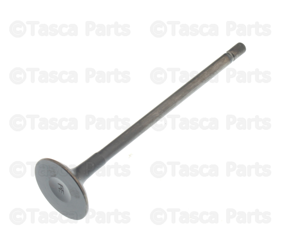 Exhaust Valve