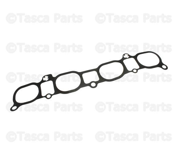 Manifold Gasket
