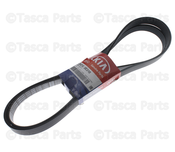 20162022 Kia Serpentine Belt 25212 2E310