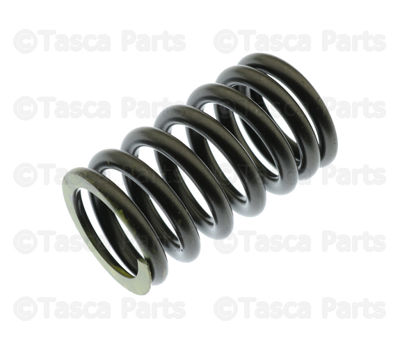 Valve Springs