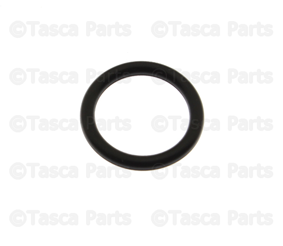 Engine Oil Pump Seal