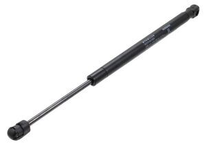 Hood Lift Support