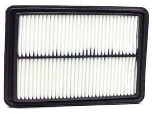 Rogue Air Filter