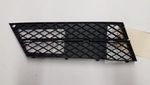 Lower Bumper Grille, right