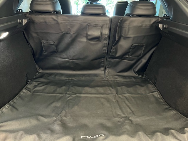 Mazda CX-30 SkyActiv-X 180 2WD Luxury (2020) #12 review