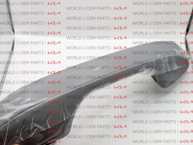 2020-2025 Kia 2020-2025 Kia - Handle, Outside 83651-S9000 | World Kia
