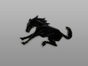 Bronco Emblem