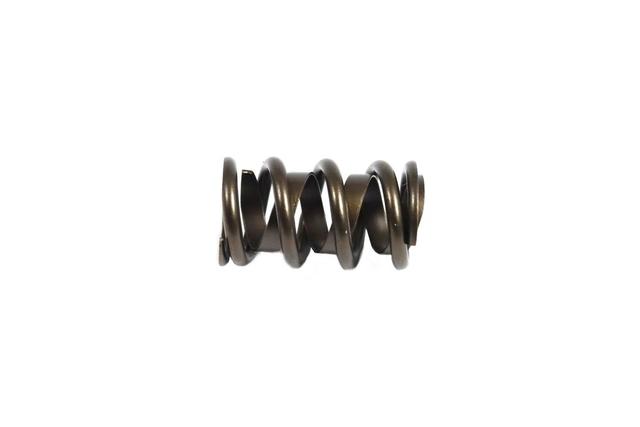 Valve Spring, Single w/damper P4876062 | Direct Connection