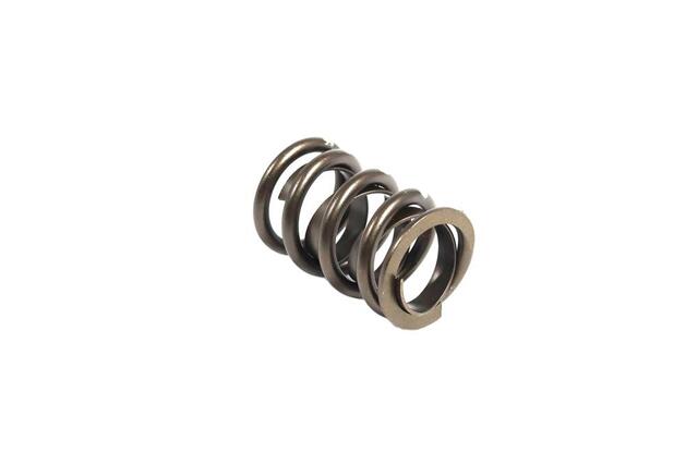 Valve Spring, Single w/damper P4876062 | Direct Connection