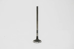 Exhaust Valve