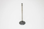 Intake Valve