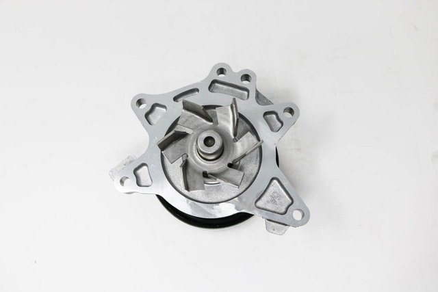 Amazon.com: 16100-Z0L-811 Genuine OEM Honda GCV160 General