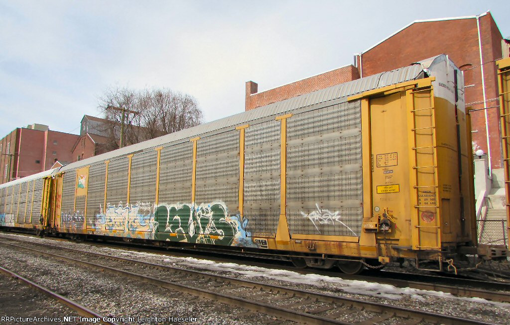 TTGX 995350 with a TNM autorack