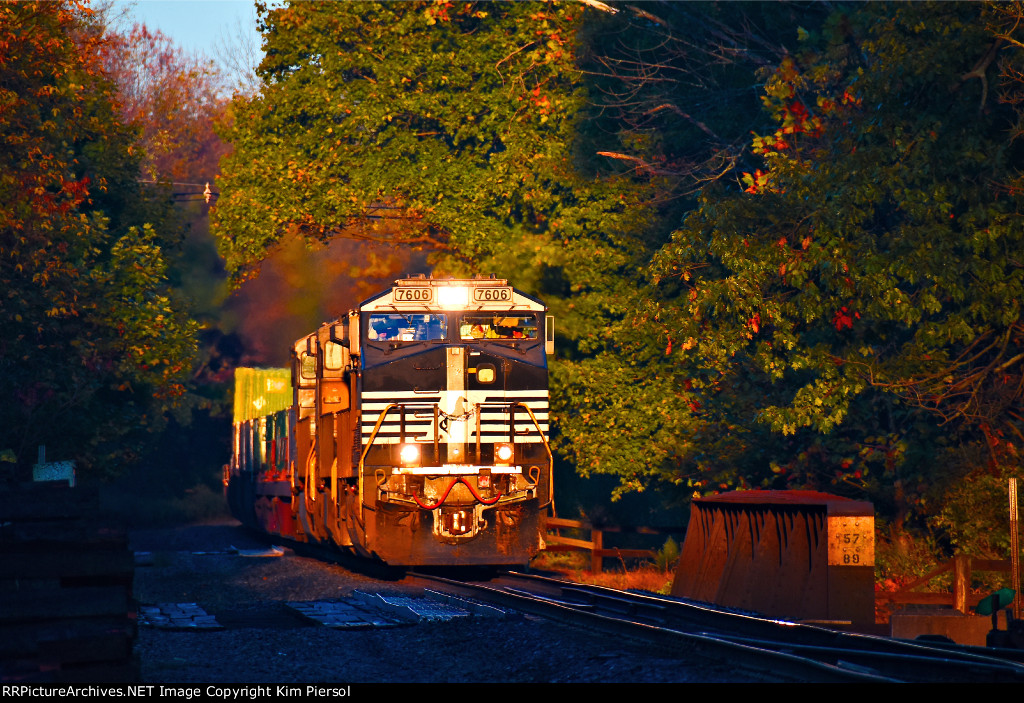 NS 7606