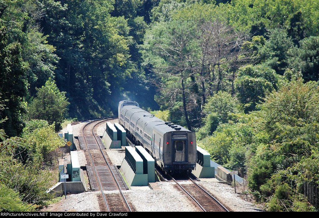 Palmetto Train 89