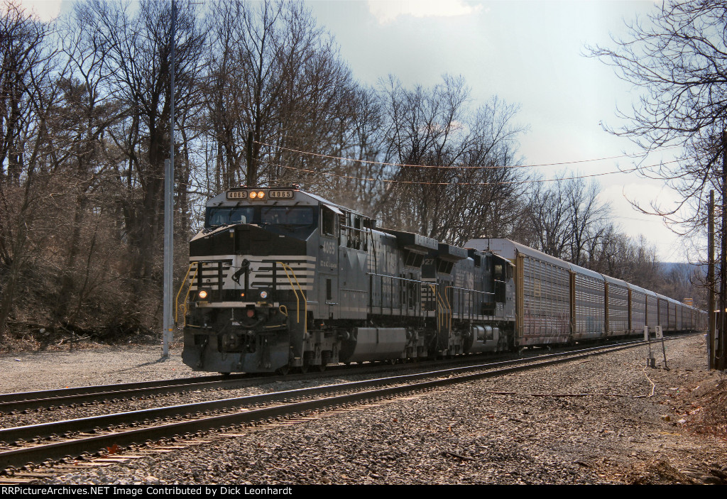 NS 4065