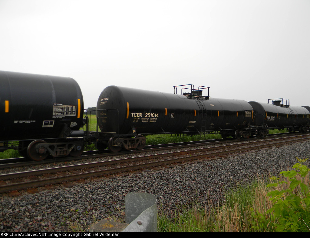 TCBX 251014 is new to RRPA!