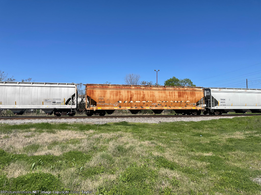 UTCX 46446