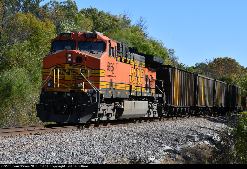 BNSF 5665 Roster shot.