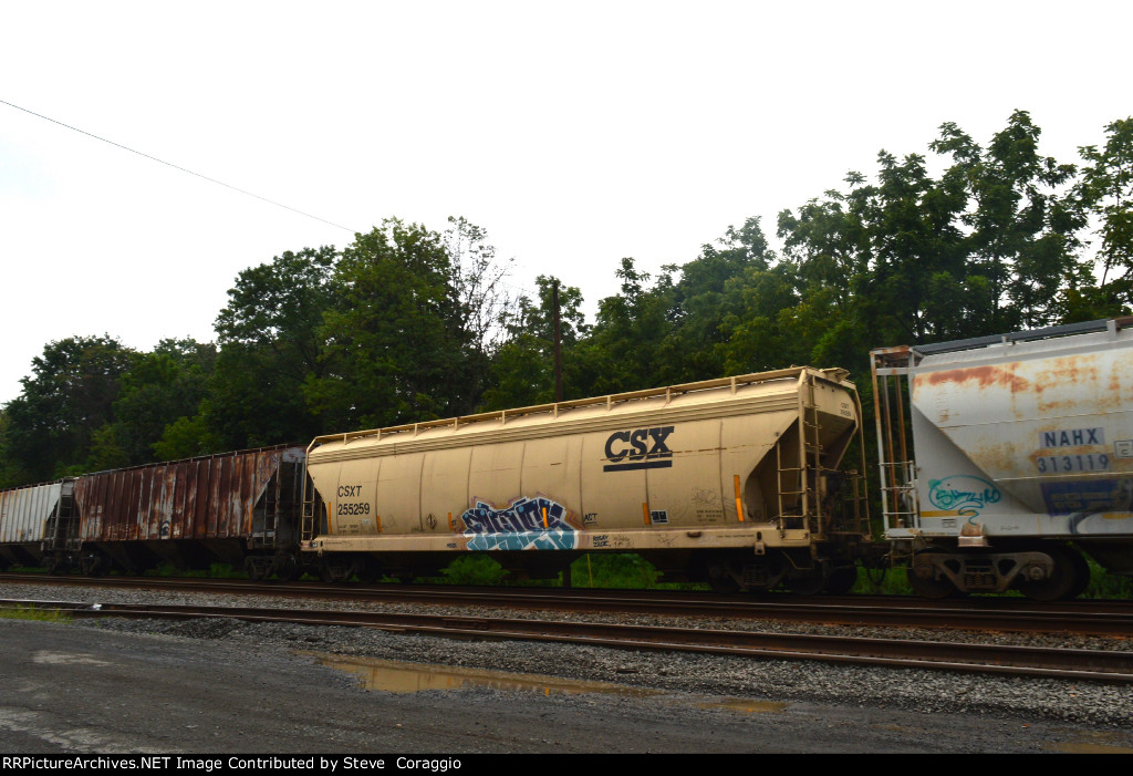 CSX 255259 IS NEW TO RRPA
