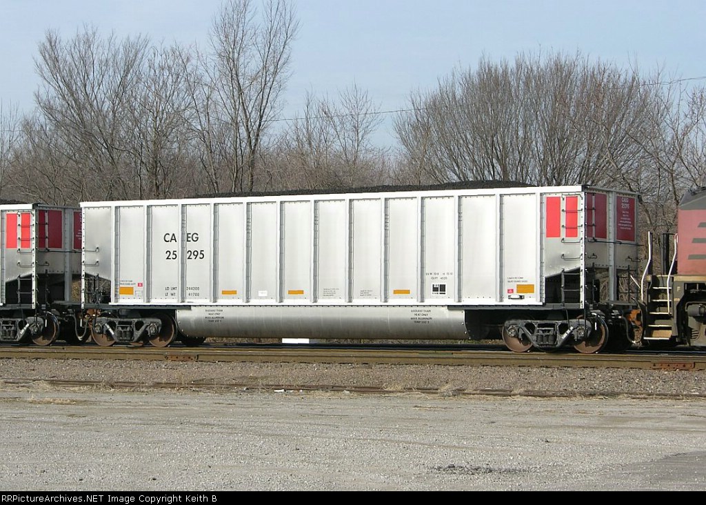 CAEG 25295