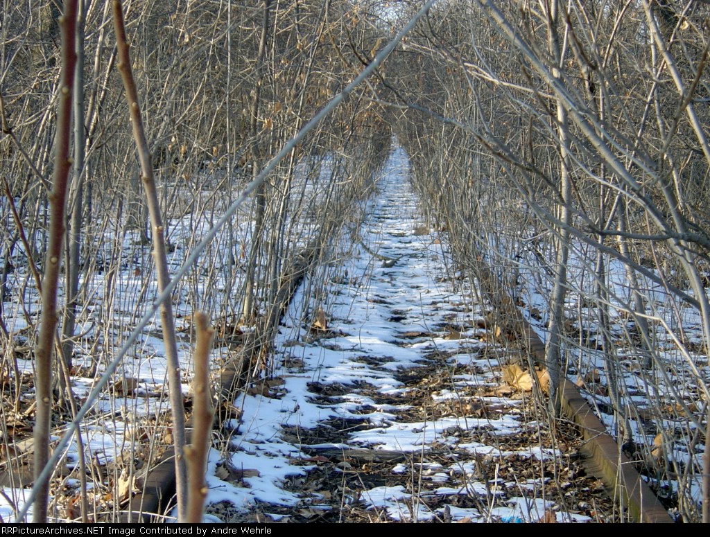 Rusty rails through the jungle