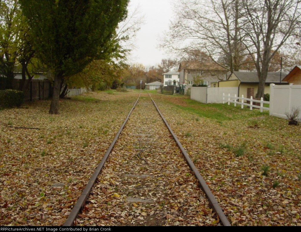 leaves on the rails