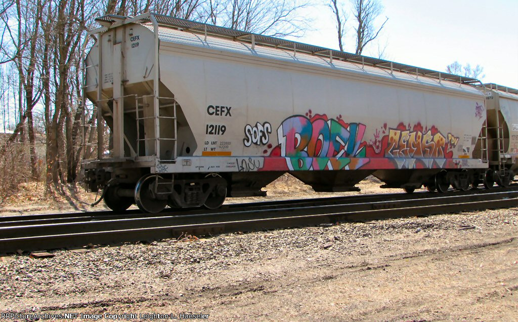 CEFX 12119