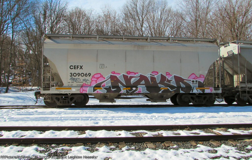 CEFX 309069 (ex-CEFX 80858)