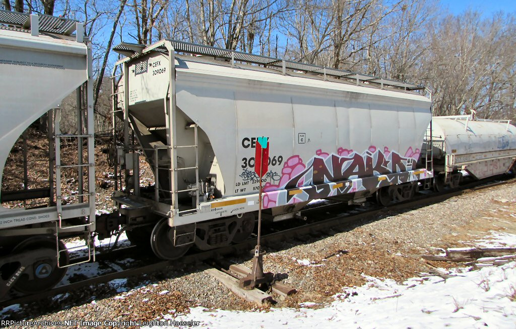 CEFX 309069 (ex-CEFX 80858)