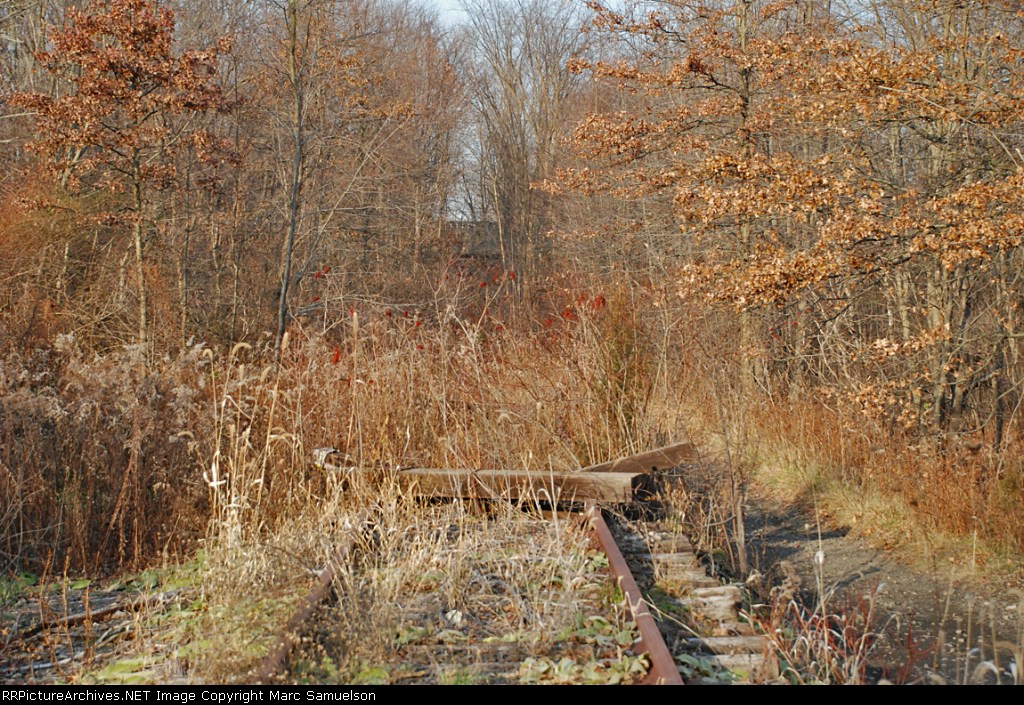 Pictures taken in Berea, NY