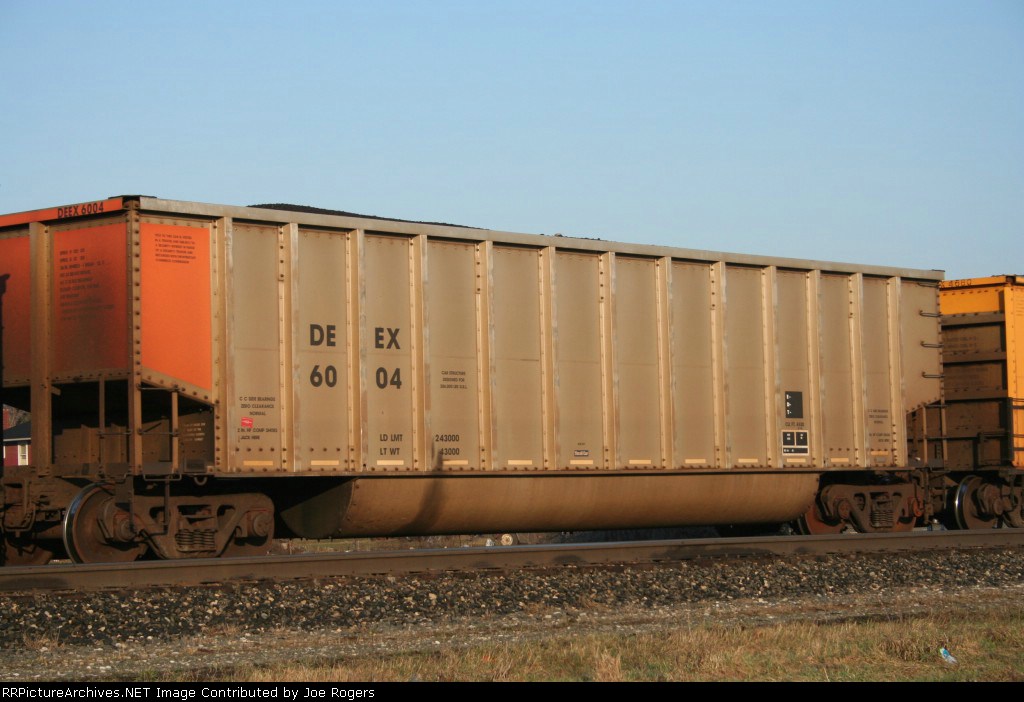 DEEX 6004