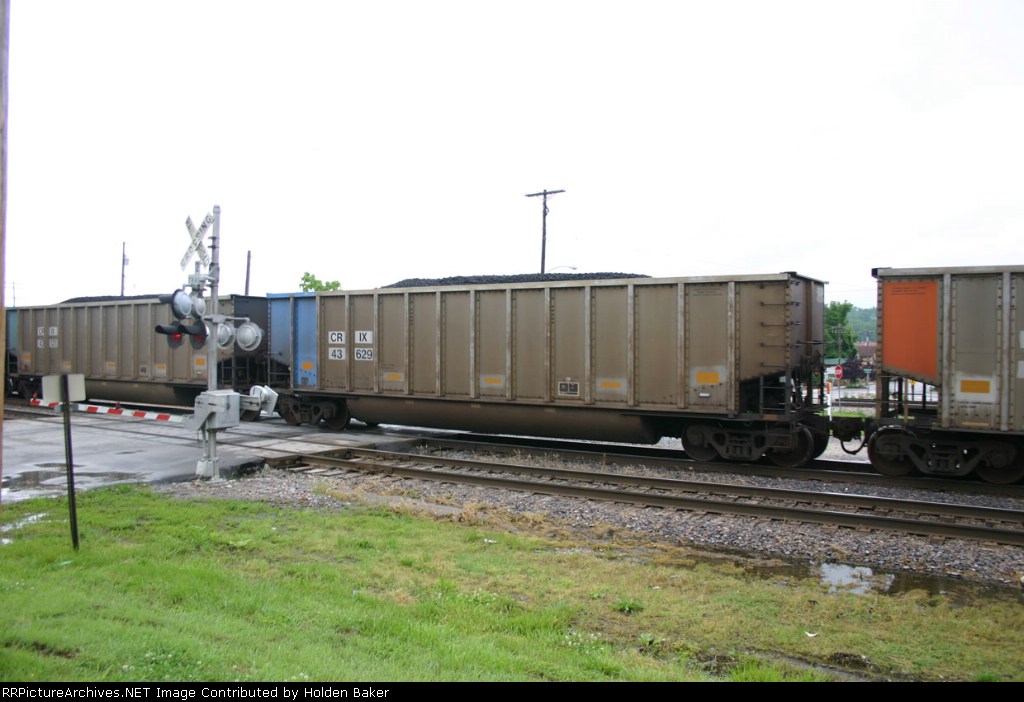 CRIX 43629