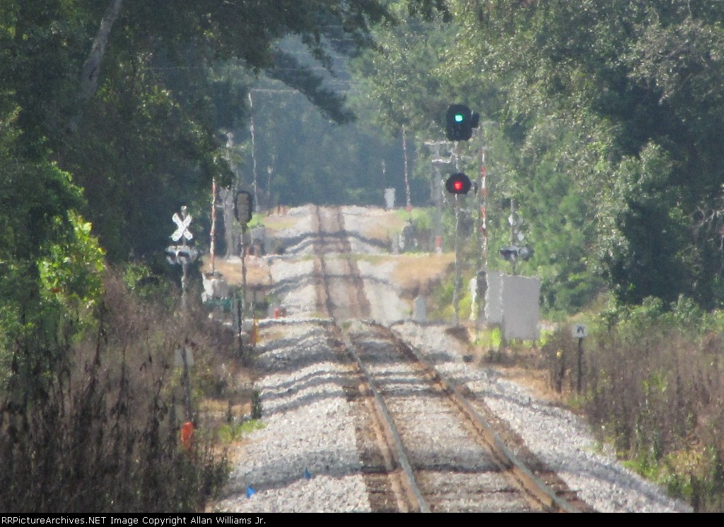 New Signals