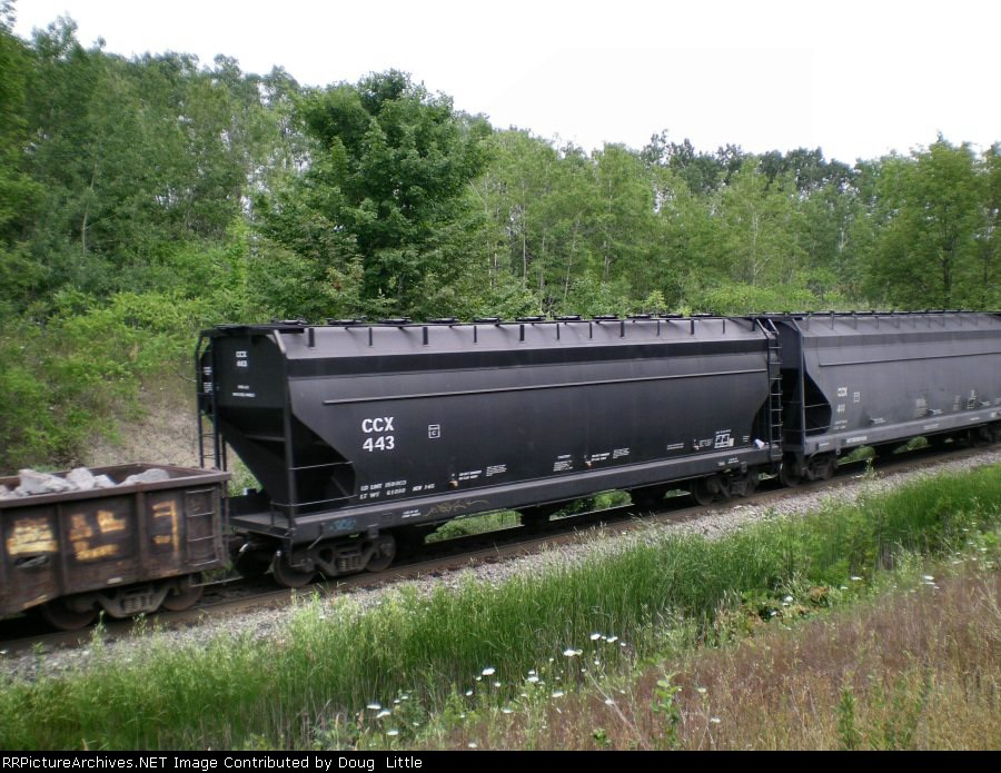 CCX 443