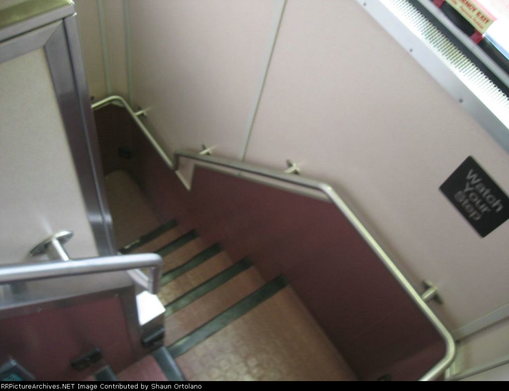 IMG_9528.jpg