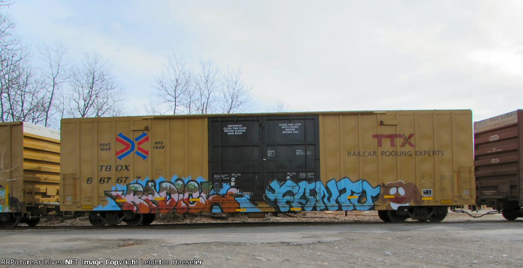 TBOX 667677