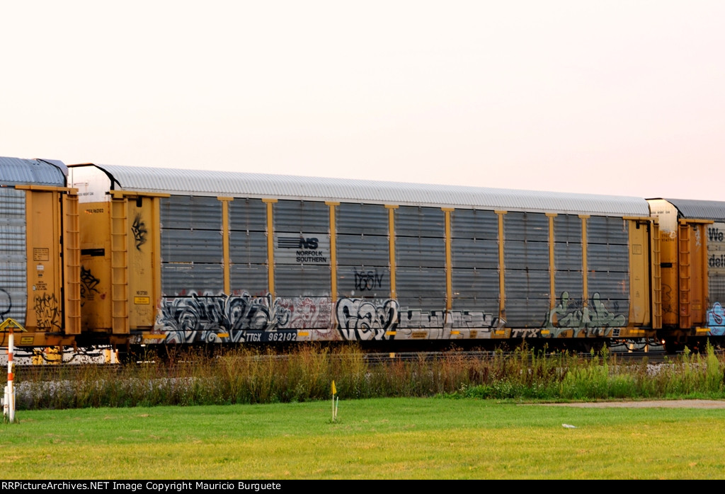 TTGX NS Autorack with graffiti