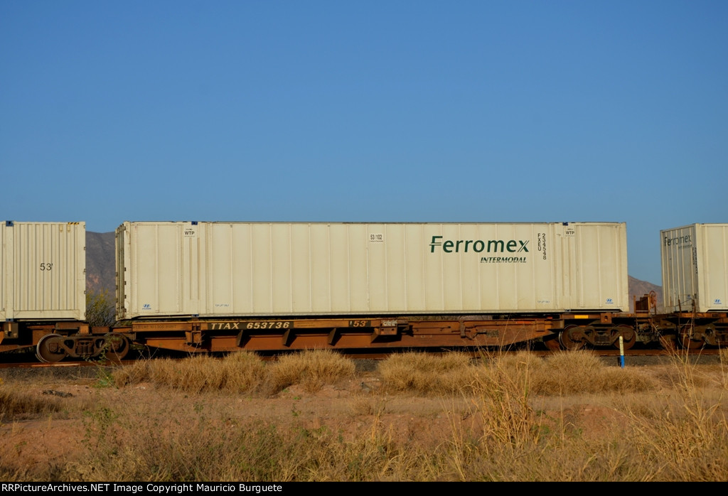 TTAX Spine Car with Ferromex container