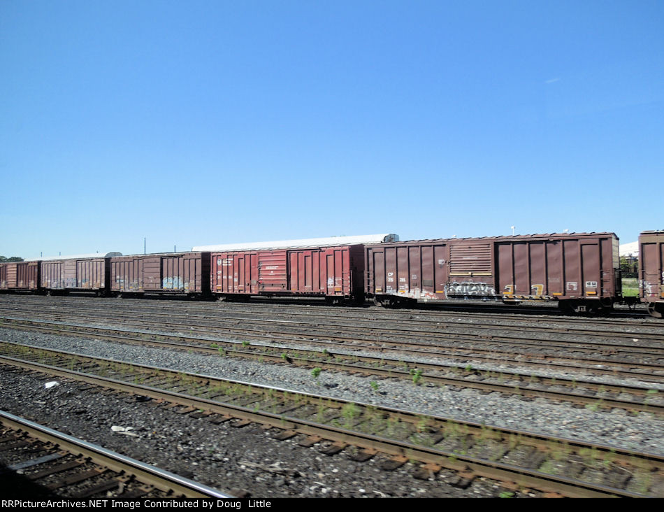 CP 214505