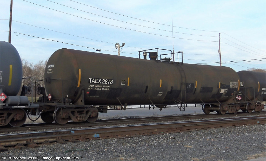 TAEX 2878