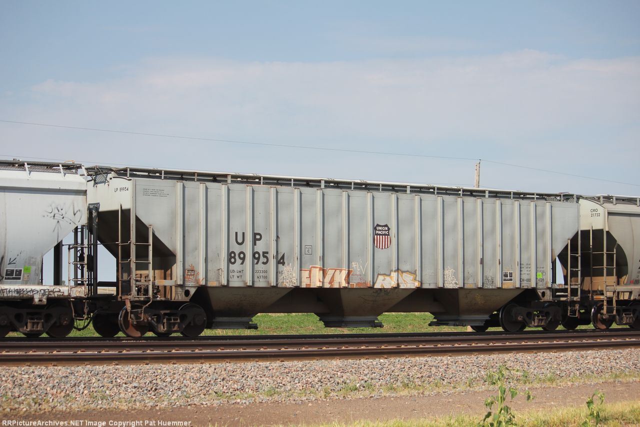 UP 89954